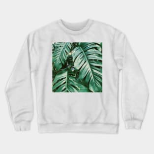 Green Palm Tree Crewneck Sweatshirt